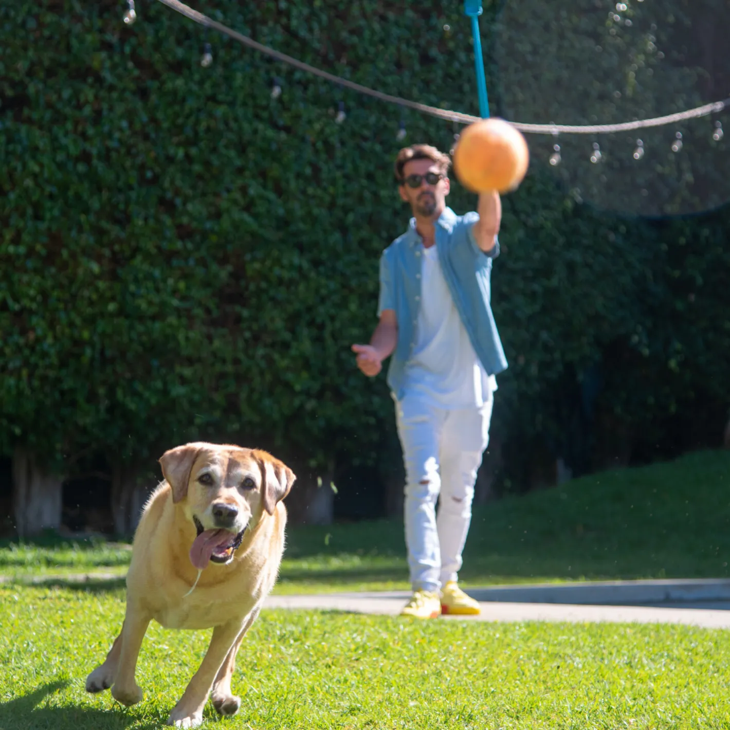 Outward Hound Thrower Chuckit Tennis Ball Launcher for Dogs Best