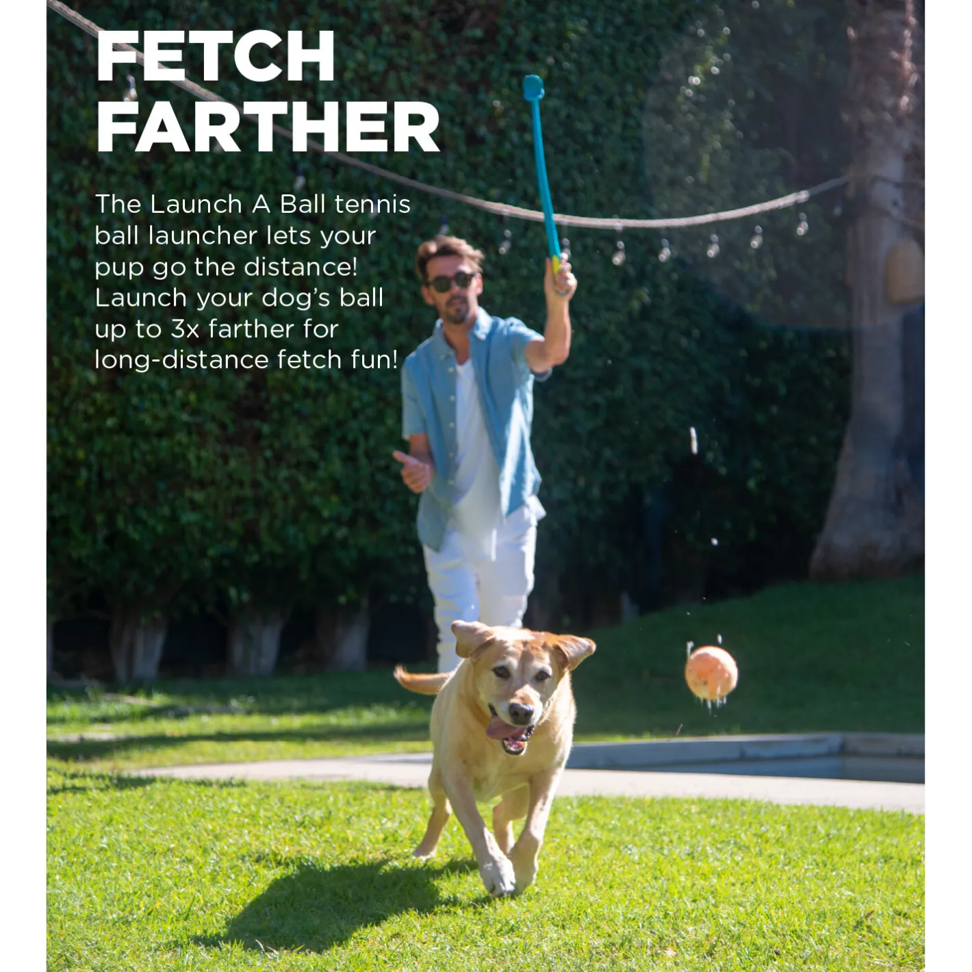 Outward Hound Thrower Chuckit Tennis Ball Launcher for Dogs Best