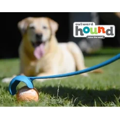 Outward Hound Thrower Chuckit Tennis Ball Launcher for Dogs Best