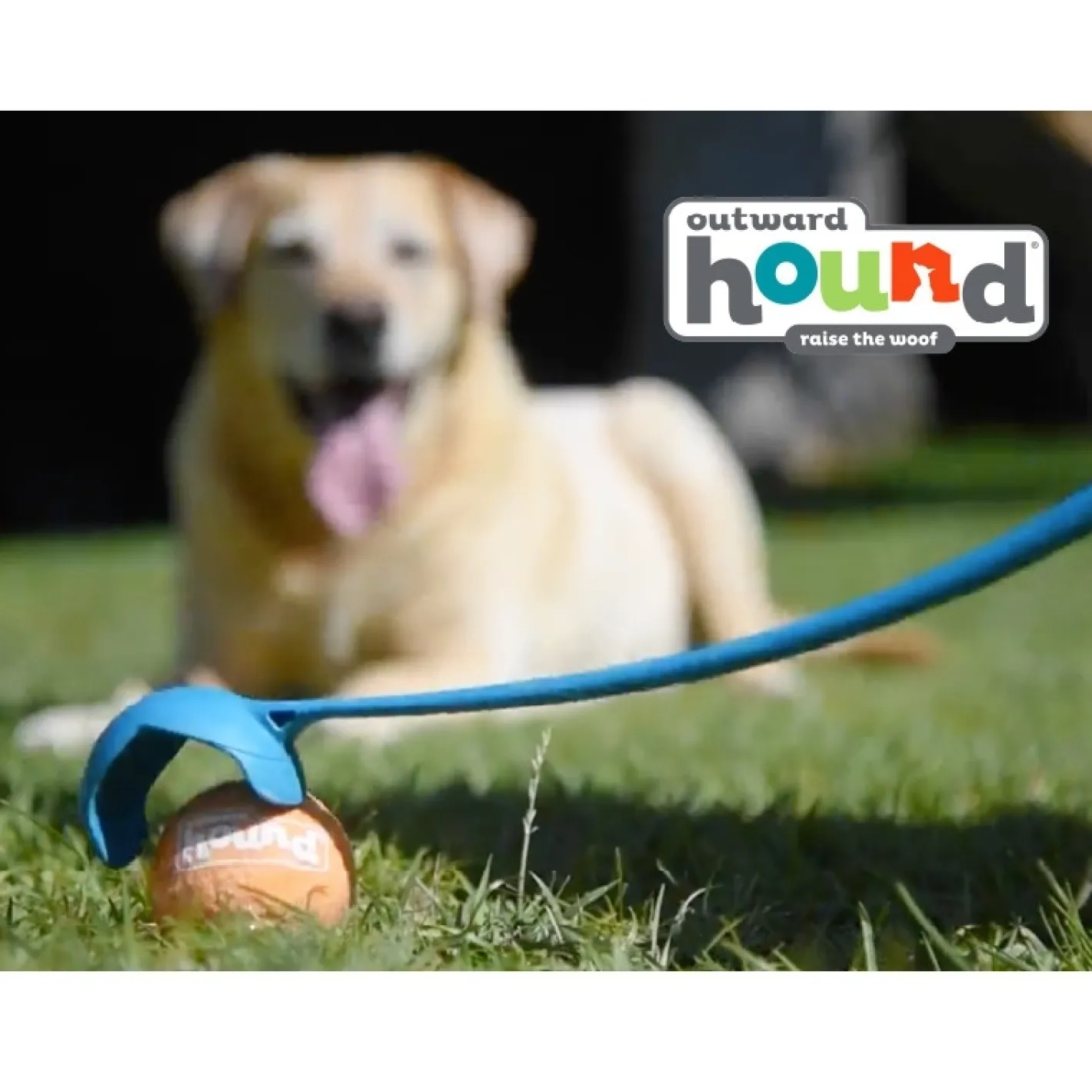 Outward Hound Thrower Chuckit Tennis Ball Launcher for Dogs Best
