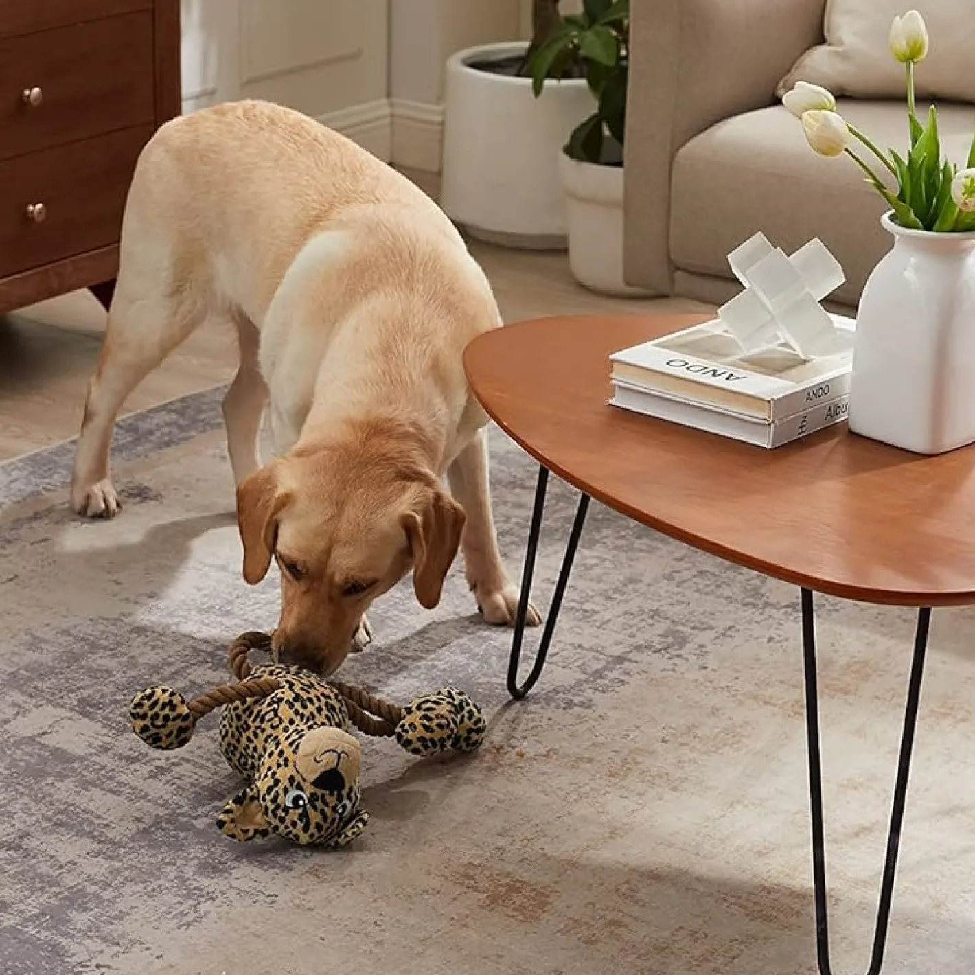 Outward Hound Tuggy Buddys Plush Squeaker Dog Tug Toy - Leopard Clearance