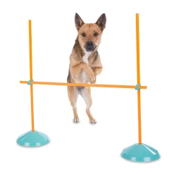 Outward Hound ZipZoom Indoor Agility Kit Dog Game Discount