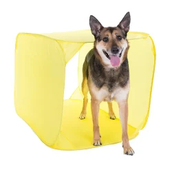 Outward Hound ZipZoom Indoor Agility Kit Dog Game Discount