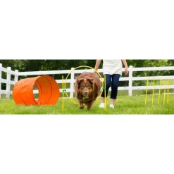 Outward Hound ZipZoom Outdoor Agility Kit for Dogs Discount