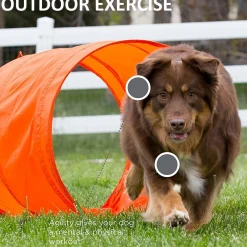 Outward Hound ZipZoom Outdoor Agility Kit for Dogs Discount