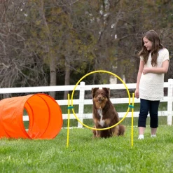 Outward Hound ZipZoom Outdoor Agility Kit for Dogs Discount