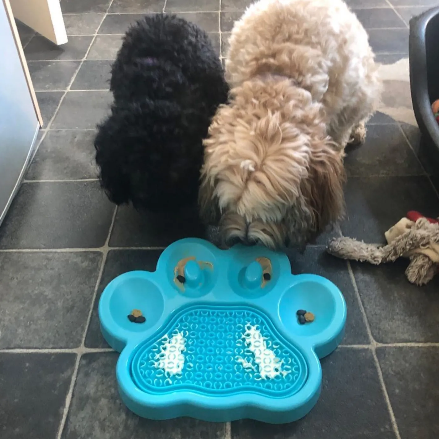 Pet DreamHouse PAW 2-in-1 Slow Feeder & Anti-Anxiety Food Pet Lick Pad & Bowl Combo Outlet