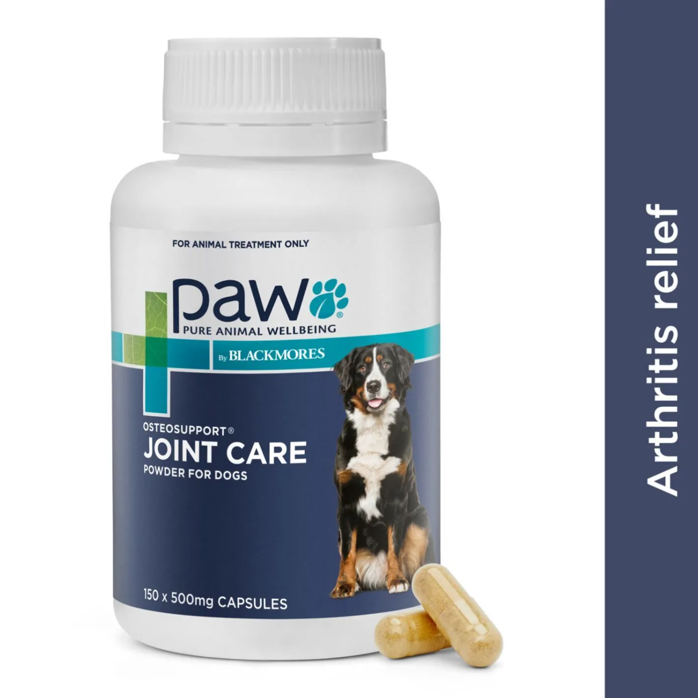 PAW by Blackmores PAW Osteosupport Joint Support Powder for Dogs - 80/150 Capsules Sale