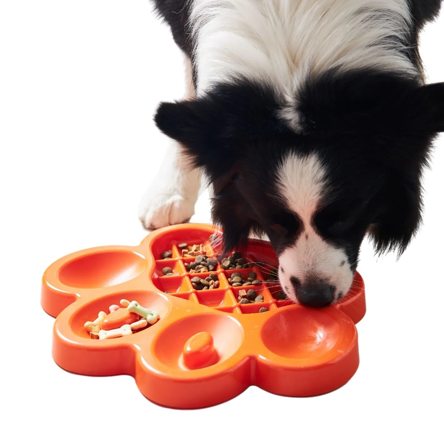 Pet DreamHouse PAW Slow Feeder Wet & Dry Food Bowl for Cats & Dogs Best