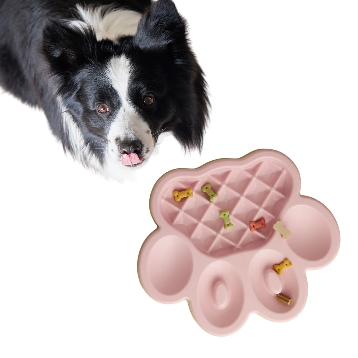 Pet DreamHouse PAW Slow Feeder Wet & Dry Food Bowl for Cats & Dogs Online
