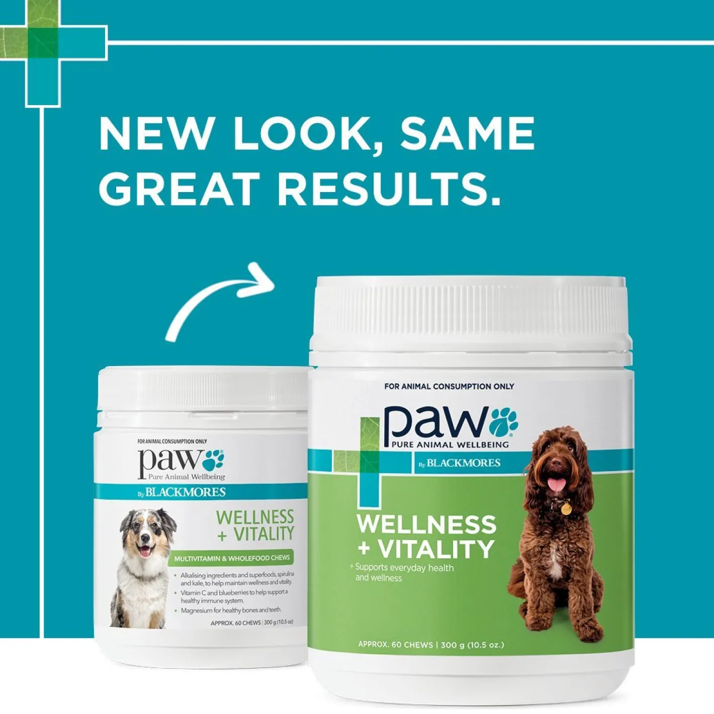 PAW by Blackmores PAW Wellness & Vitality Multivitamin Chews for Dogs 300g Sale