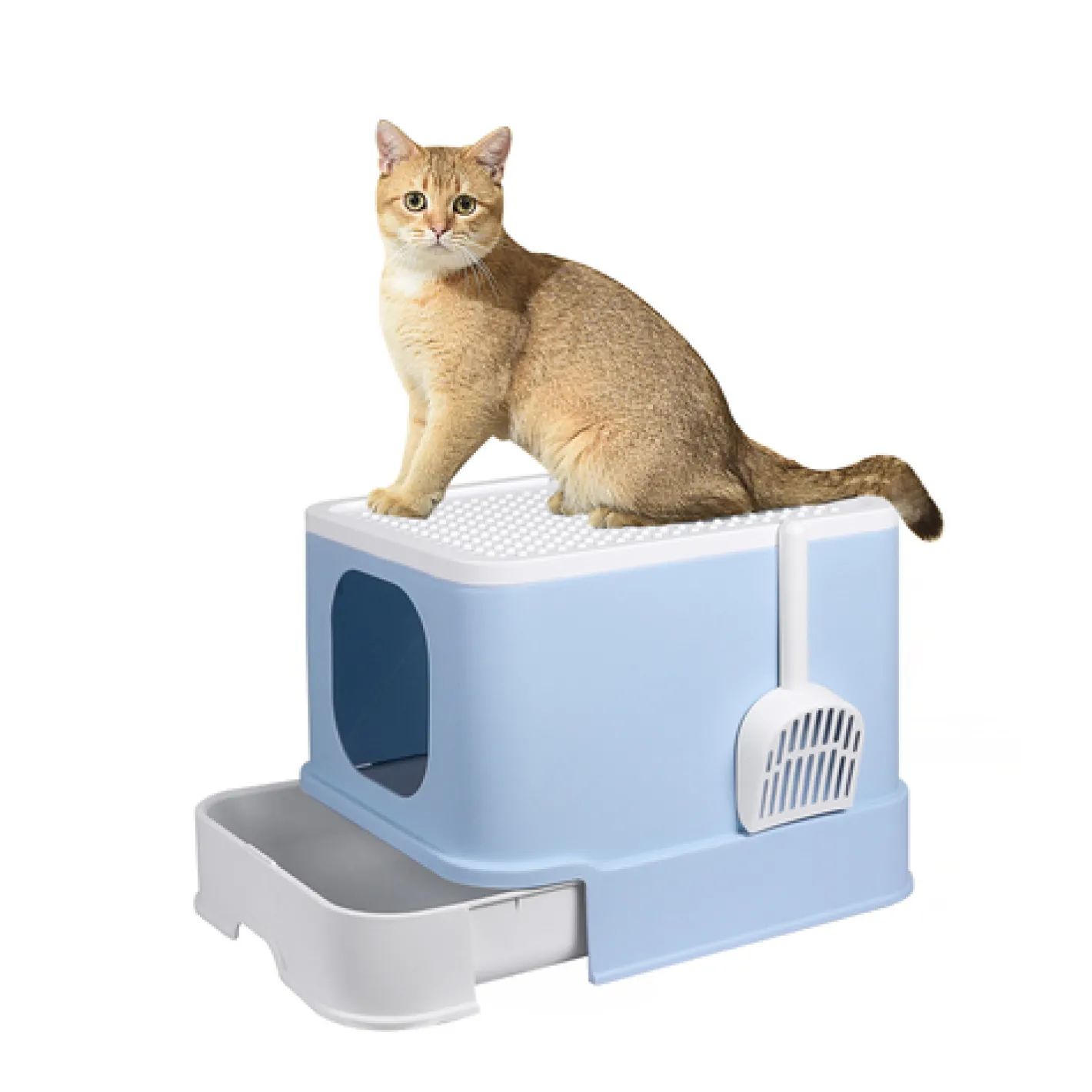 iDS PaWz Cat Litter Box Fully Enclosed Kitty Toilet Trapping Odour Control Basin - Blue New