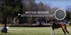 PetSafe Automatic Multi-Angled Ball Launcher for Dogs Fashion