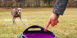 PetSafe Automatic Multi-Angled Ball Launcher for Dogs Fashion