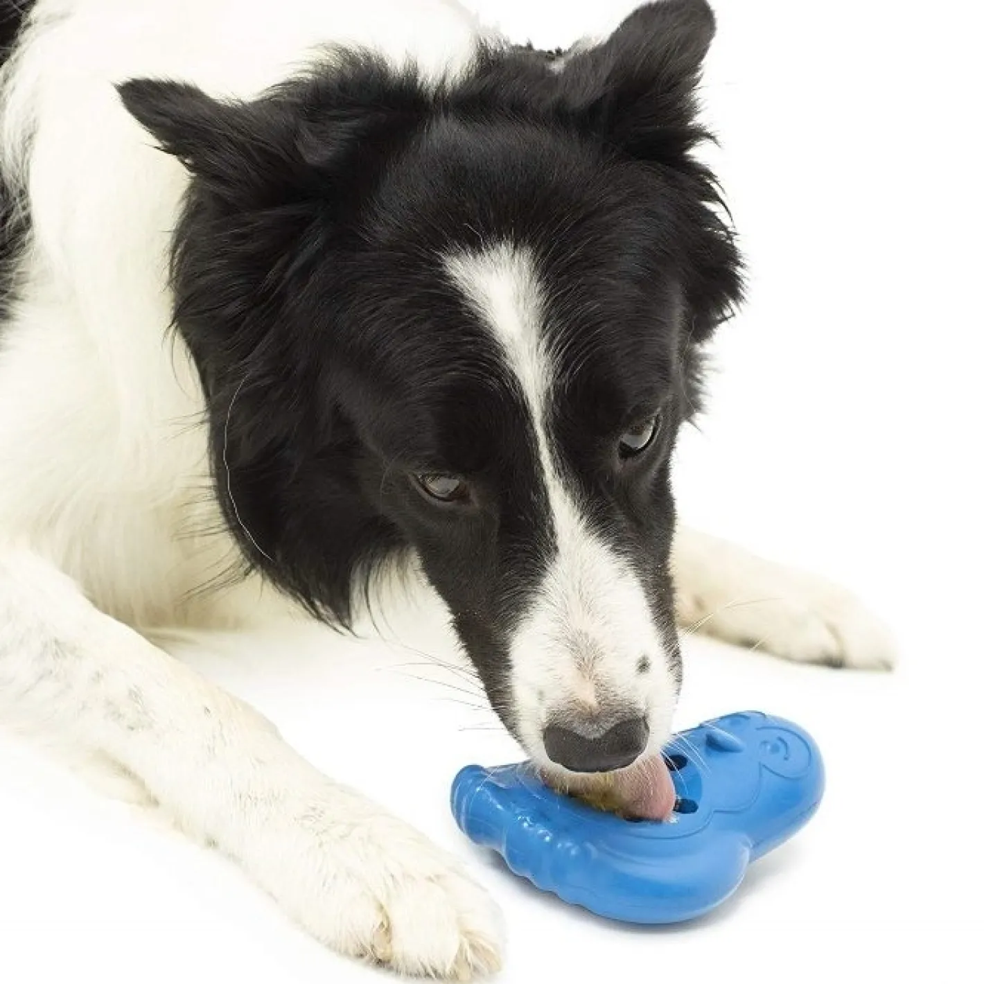 PetSafe Chilly Penguin Freezable Tough Treat Dispensing Dog Toy Clearance