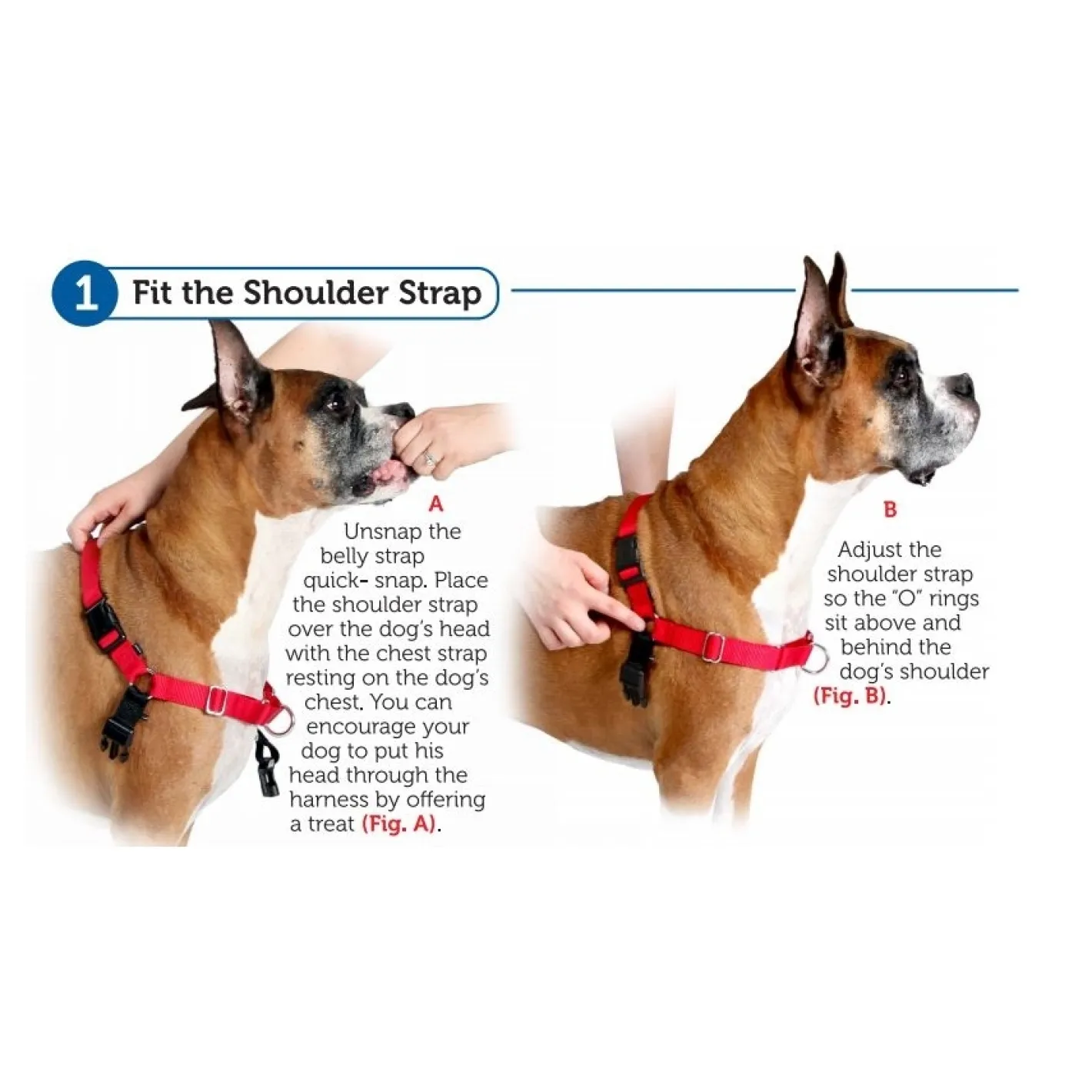 PetSafe Easy Walk Front-Attachment No-Pull Dog Harness New
