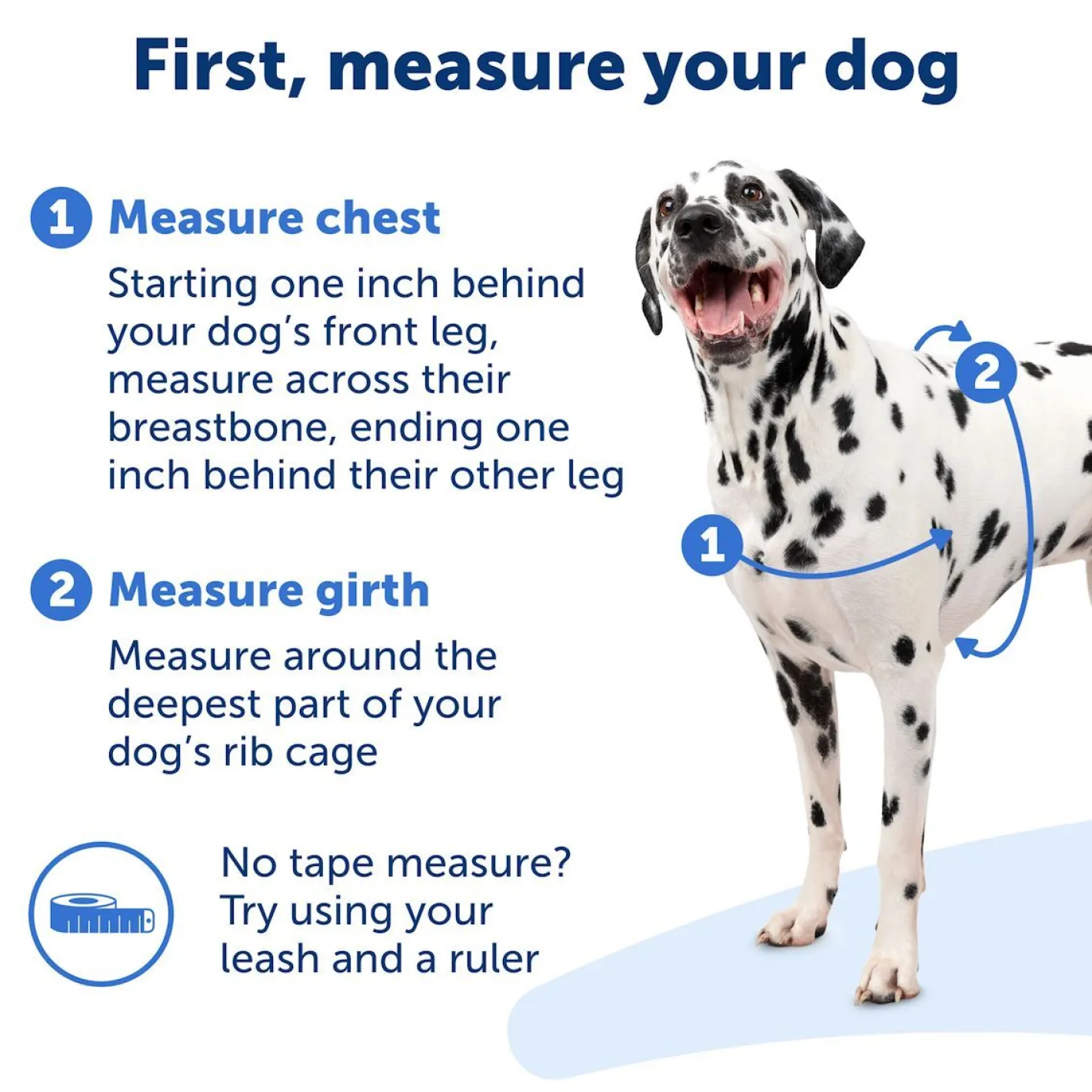 PetSafe Easy Walk Front-Attachment No-Pull Dog Harness New