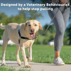 PetSafe Easy Walk Front-Attachment No-Pull Dog Harness New