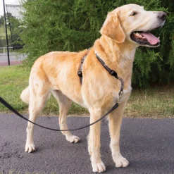 PetSafe 3-in-1 Anti-Pulling Dog Harness and Car Safety Restraint New