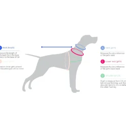 PetSafe 3-in-1 Anti-Pulling Dog Harness and Car Safety Restraint New