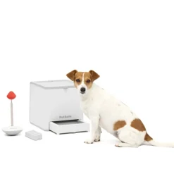 PetSafe Teach and Treat Remote Reward Dog Trainer Treat Dispenser Online