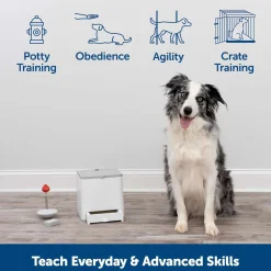 PetSafe Teach and Treat Remote Reward Dog Trainer Treat Dispenser Online