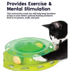 Petstages Catnip Chaser Interactive Cat Toy Hot