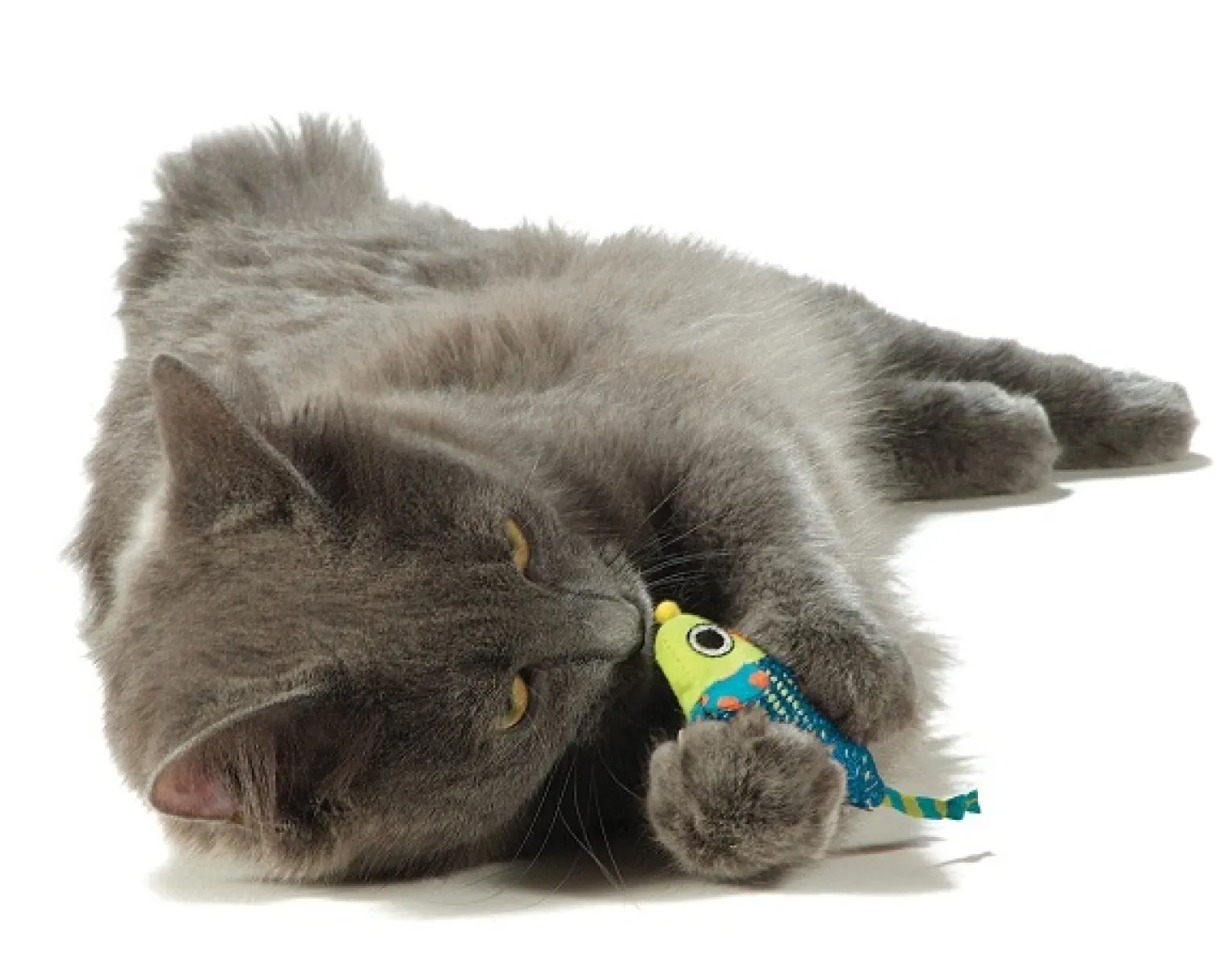 Petstages Catnip Chew Mice - Pair of Dental Care Cat Toys Fashion