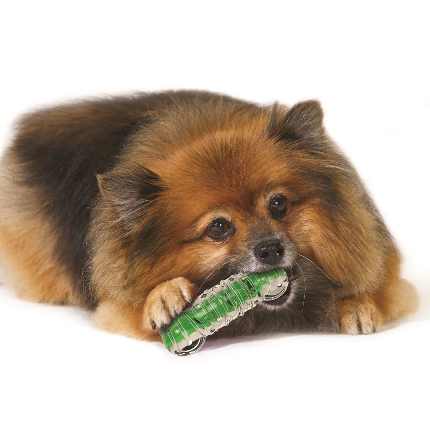 Petstages Crunchcore Crunchy Centre Chew Bone Dog Toy Discount