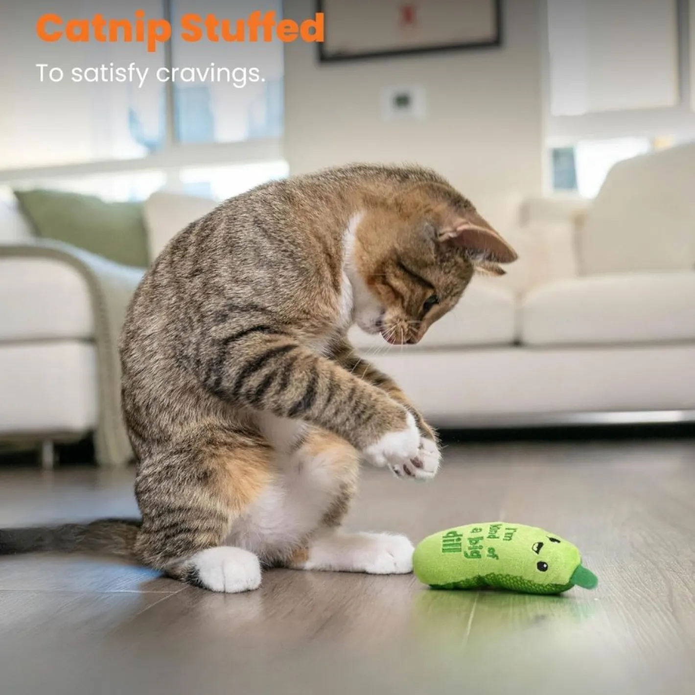 Petstages Crunchy Pickle Kicker Catnip Cat Toy New