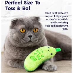 Petstages Crunchy Pickle Kicker Catnip Cat Toy New