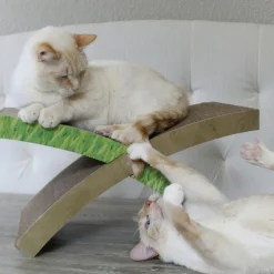 Petstages Easy Life Hammock Cardboard Cat Scratcher & Bed Fashion