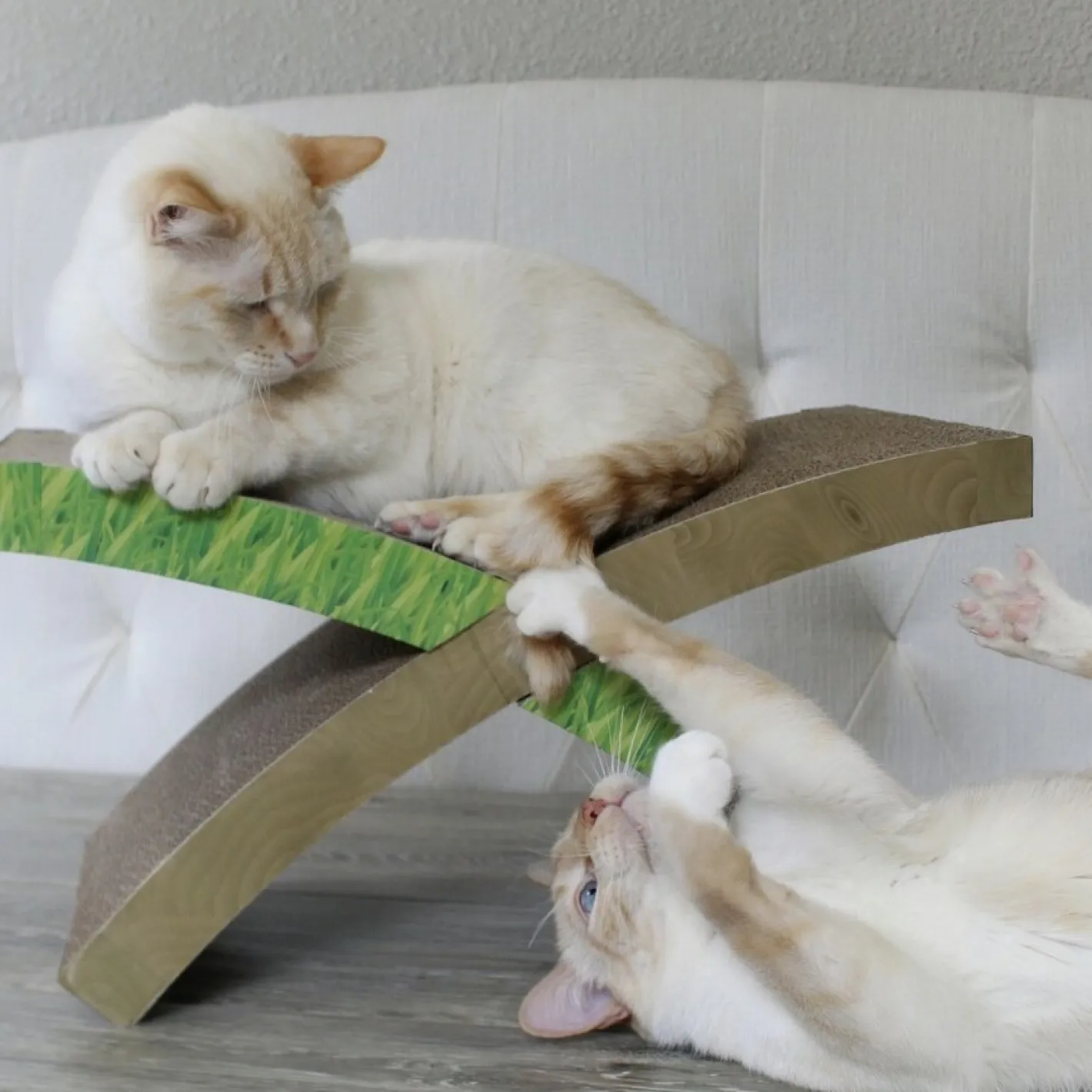 Petstages Easy Life Hammock Cardboard Cat Scratcher & Bed Fashion