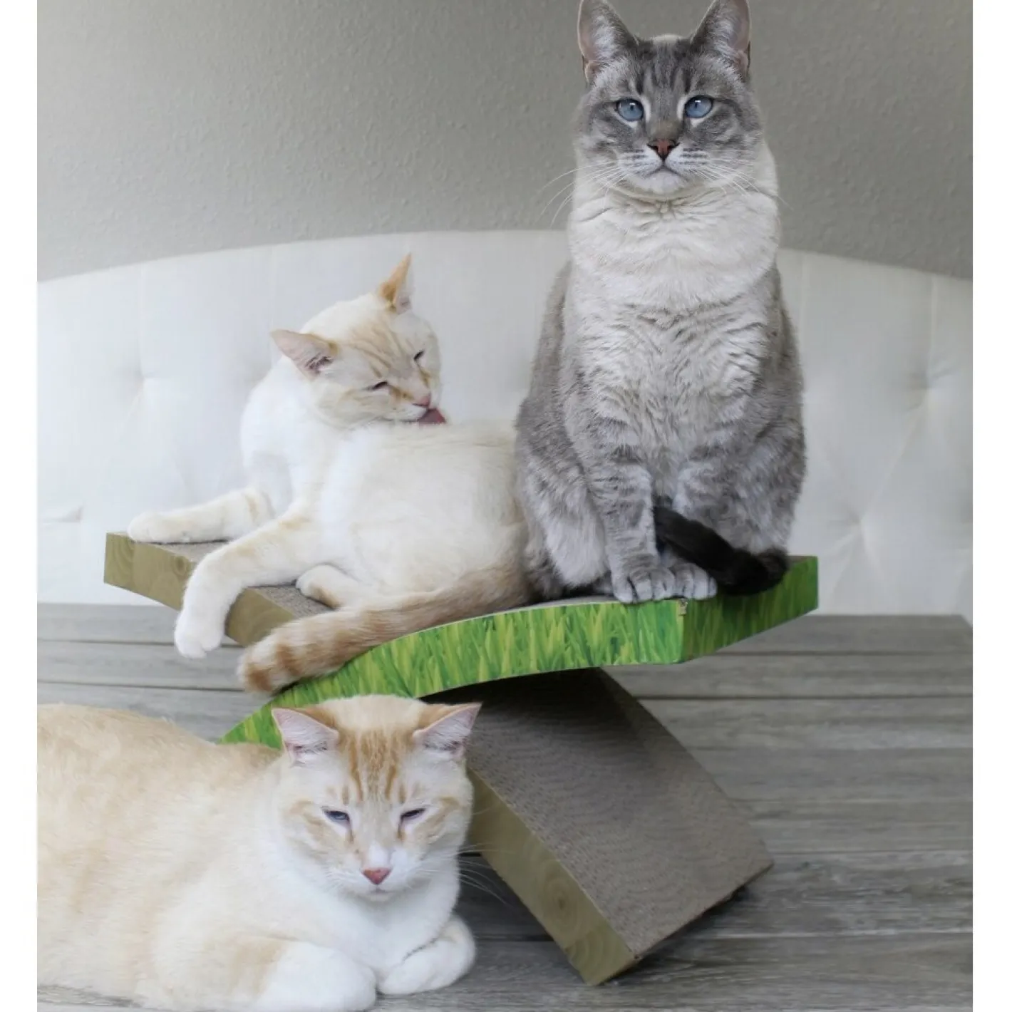 Petstages Easy Life Hammock Cardboard Cat Scratcher & Bed Fashion