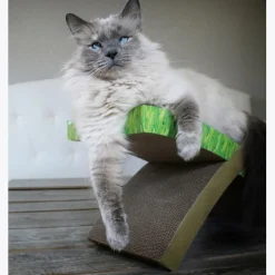 Petstages Easy Life Hammock Cardboard Cat Scratcher & Bed Fashion