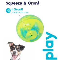 Petstages Grunt N Punt Tennis Ball Fetch Dog Toy Fashion