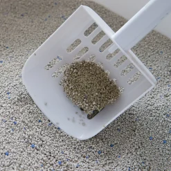 Pidan Premium Bentonite Fast Clumping Dust Free Cat Litter 6kg Online