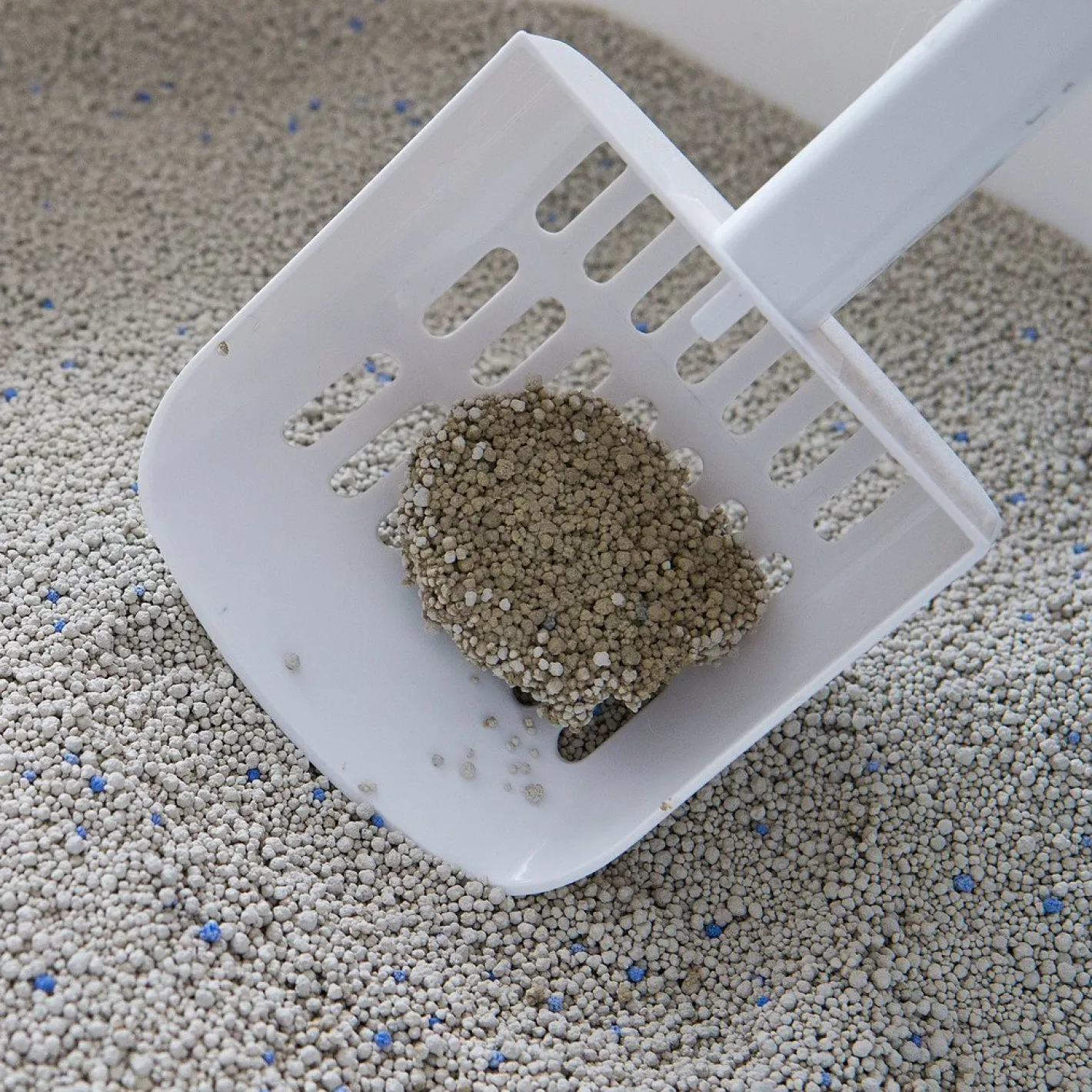 Pidan Premium Bentonite Fast Clumping Dust Free Cat Litter 6kg Online
