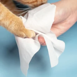 Pidan Unscented Non-Toxic Pet Wet Wipes - 80 wipes Sale
