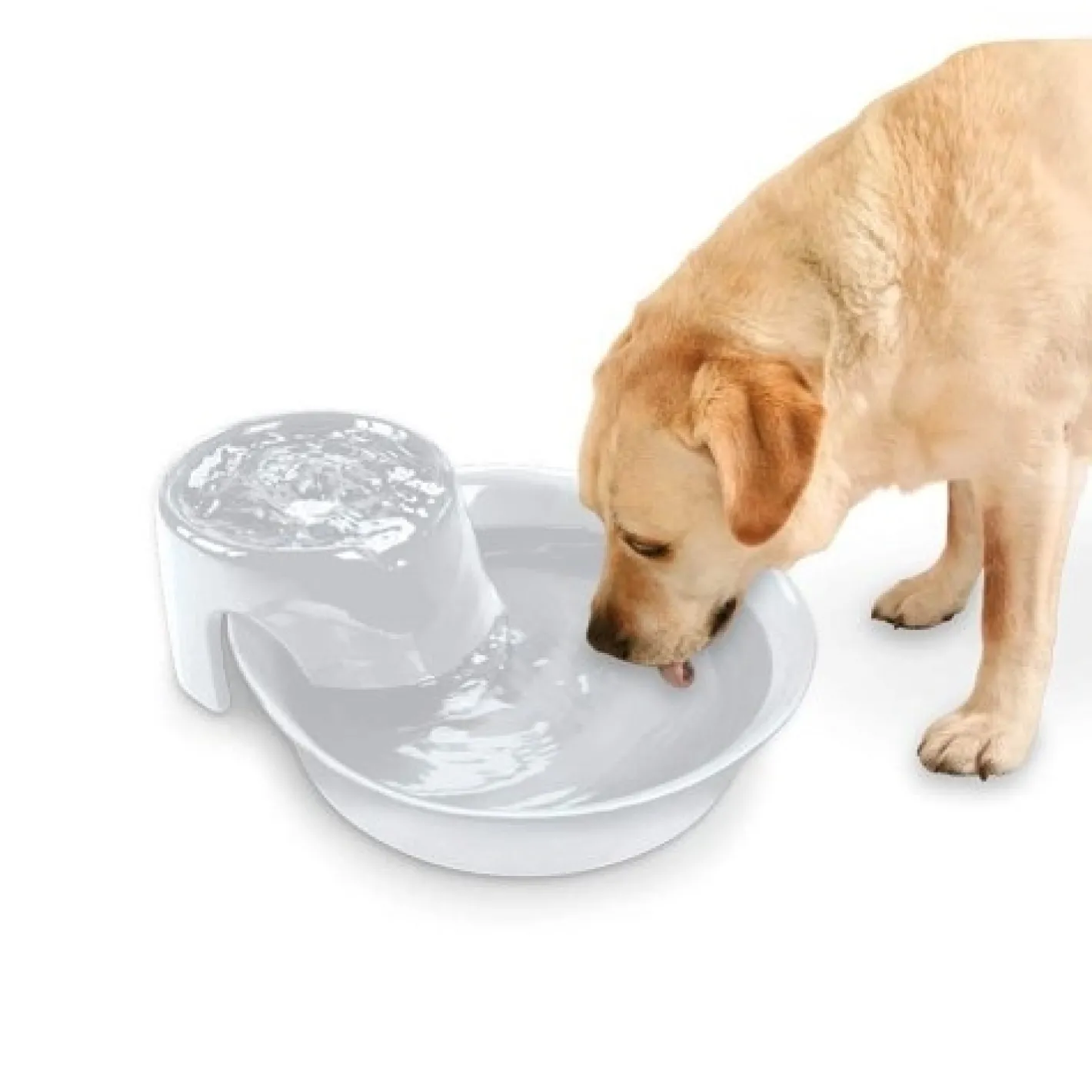 Pioneer Pet Pioneer Big Max Ceramic Pet Drinking Fountain 3.7 litres - White Online