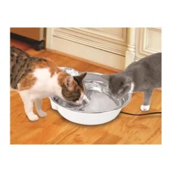 Pioneer Pet Pioneer Big Max Stainless Steel Pet Drinking Fountain 3.6 litres Outlet