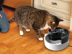 Pioneer Pet Pioneer Fung Shui Pet Drinking Fountain 1.7 Litres Best