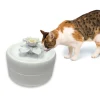 Pioneer Pet Magnolia Petal Fresh Water Pet Drinking Fountain 1.6 Litres Fashion