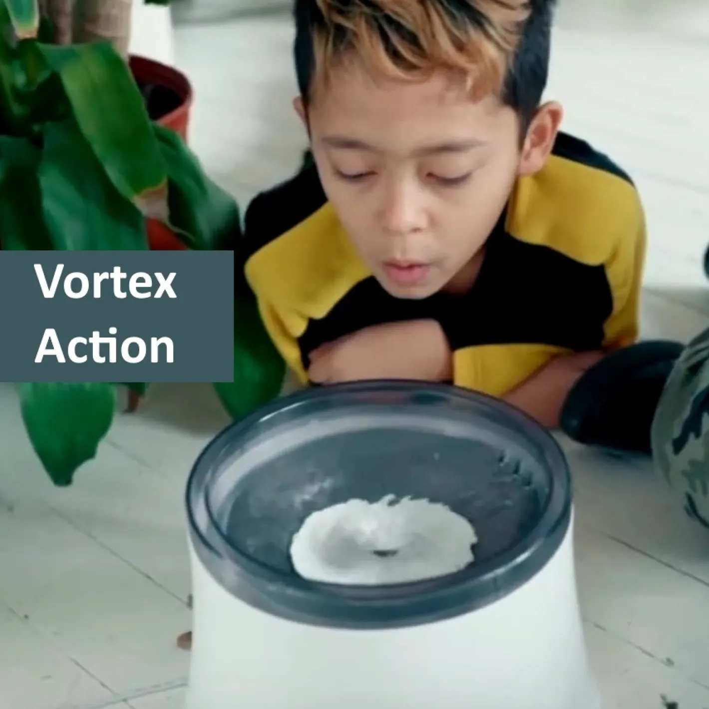 Pioneer Pet Vortex Filtered Water Fountain for Cats & Dogs 3.7 Litres Online