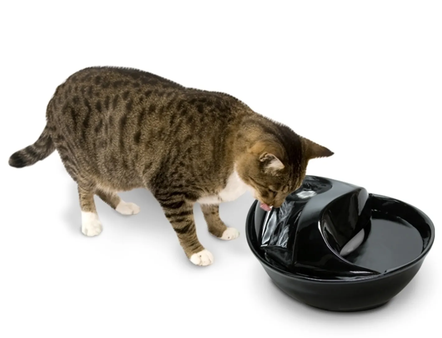 Pioneer Pet Pioneer Raindrop Ceramic Pet Drinking Fountain 1.7 litre - Black Hot