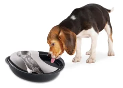 Pioneer Pet Pioneer Raindrop Ceramic Pet Drinking Fountain 1.7 litre - Black Hot