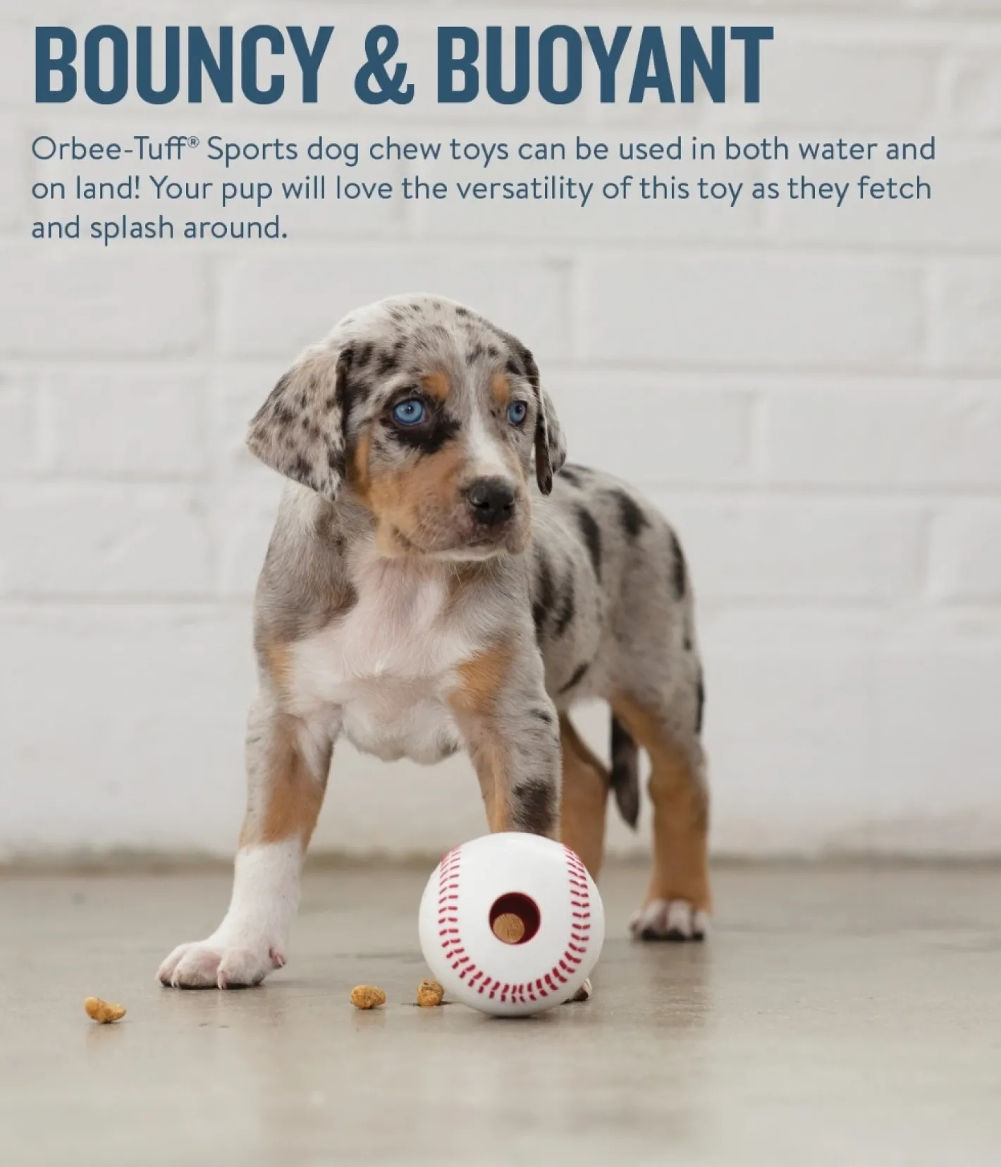 Planet Dog Durable Treat Dispensing & Fetch Dog Toy - Baseball Online