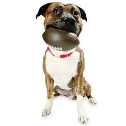 Planet Dog Durable Treat Dispensing & Fetch Dog Toy - Football Clearance