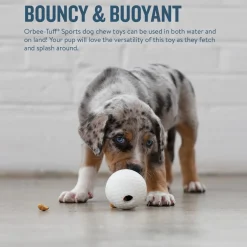 Planet Dog Durable Treat Dispensing & Fetch Dog Toy - Golfball Online