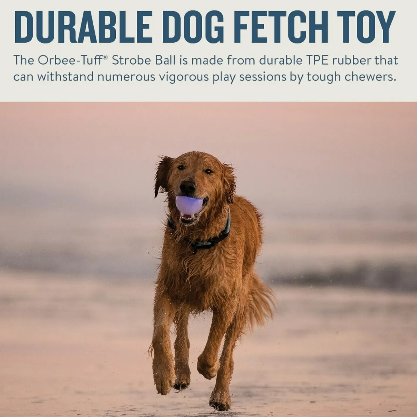 Planet Dog Orbee-Tuff Flashing Strobe Ball Dog Toy - Glow in the Dark Best
